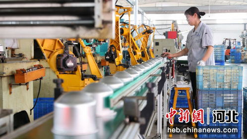 河北南皮創(chuàng)新驅動 小五金 勇闖國際 大市場