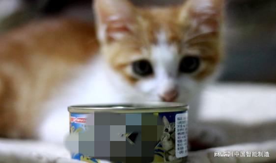 它經濟風起，國產寵物食品品牌陣營持續壯大